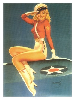 Air Force Poster
