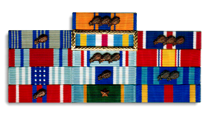 Air Force Ribbon Rack Chart