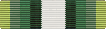 Air Force JROTC Drill Team Ribbon