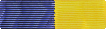 Delaware National Guard Medal