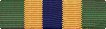 Texas Homeland Defense Medal